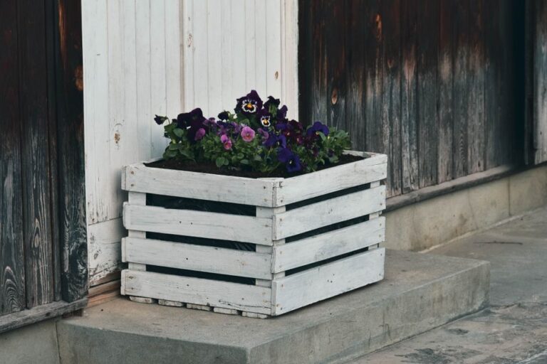 Charming white wooden crate filled with vibrant purple pansies in a rustic setting.