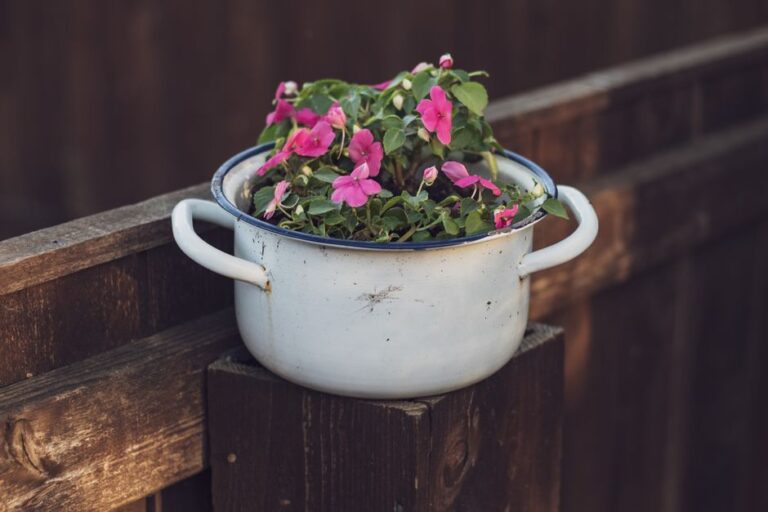 A rustic pot filled with blooming pink impatiens against a wooden backdrop, showcasing vibrant outdoor floral beauty.