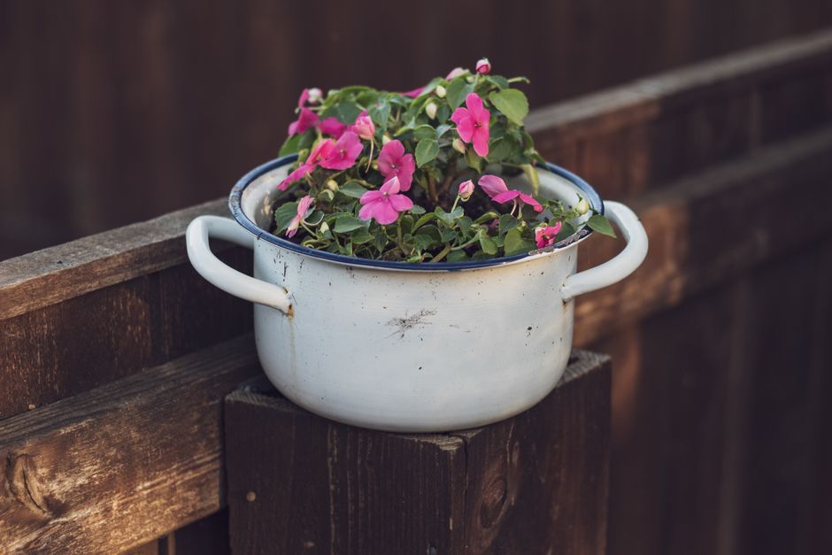 A rustic pot filled with blooming pink impatiens against a wooden backdrop, showcasing vibrant outdoor floral beauty.